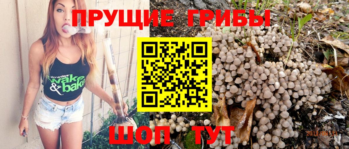 Набережные Челны  Псилоцибиновые грибы Cubensis  Вход с VPN  Галлюциногенные грибы мицелий 