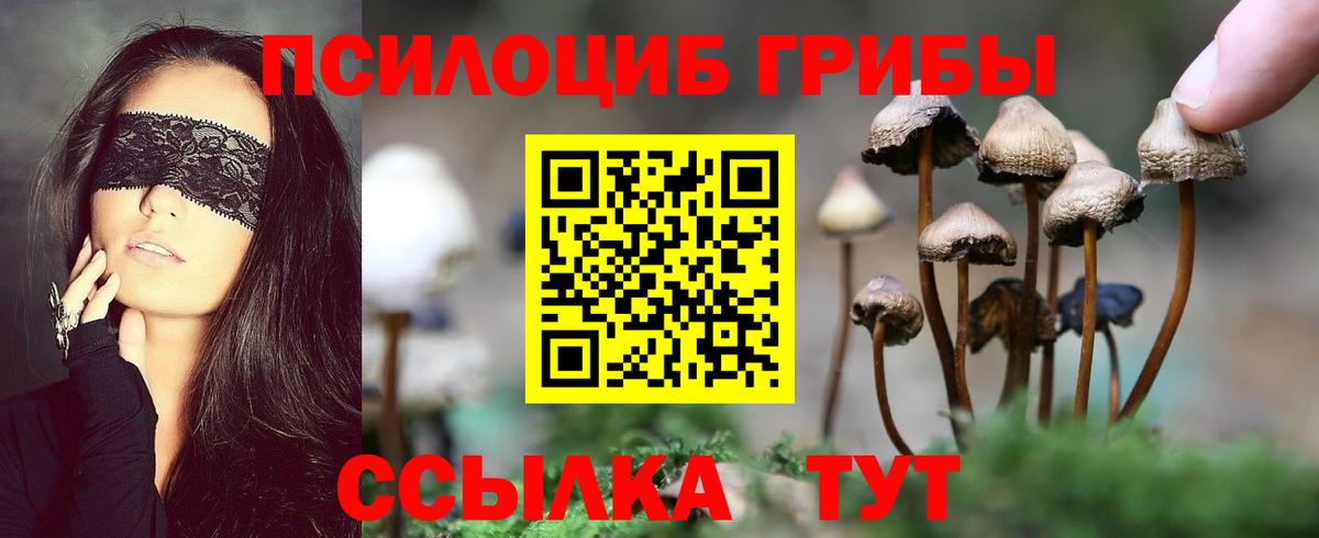 Псилоцибиновые грибы прущие грибы Набережные Челны